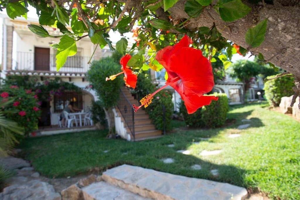 Casa En Denia Con Piscina Y Jardin公寓 外观 照片