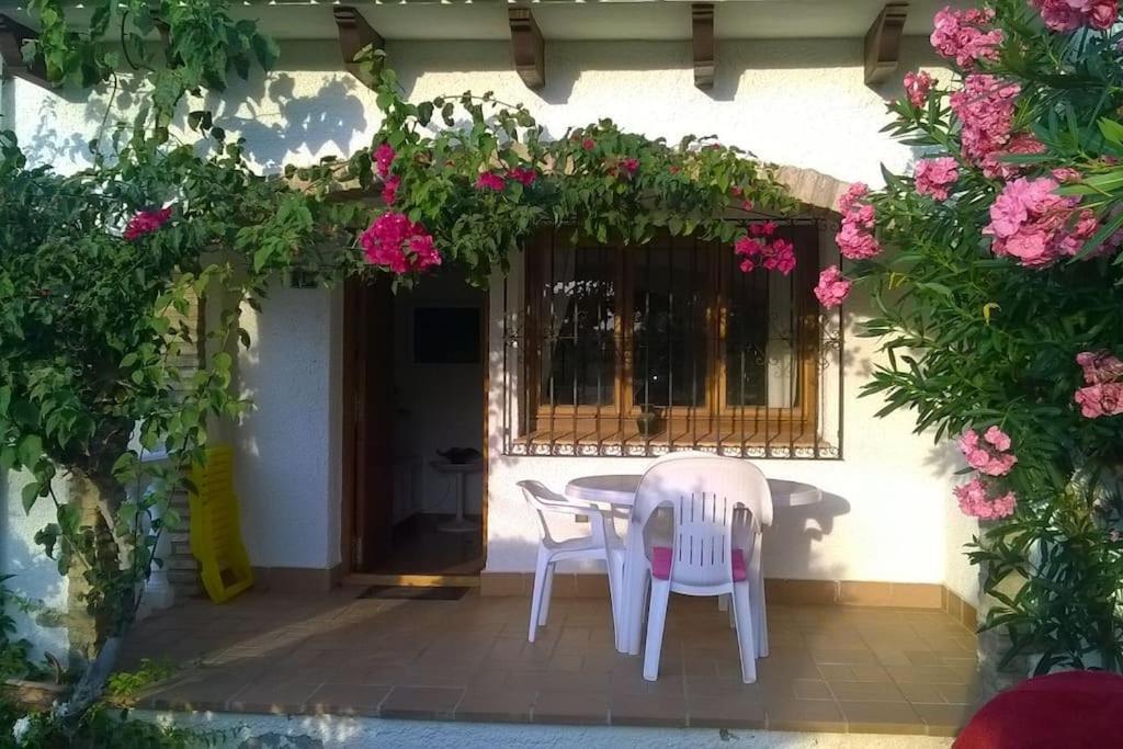 Casa En Denia Con Piscina Y Jardin公寓 外观 照片
